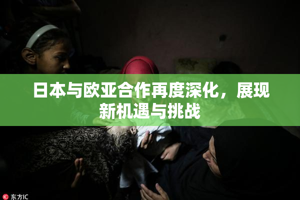 日本与欧亚合作再度深化，展现新机遇与挑战