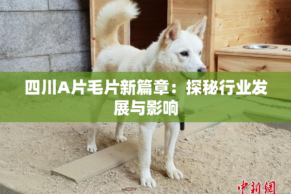 四川A片毛片新篇章：探秘行业发展与影响