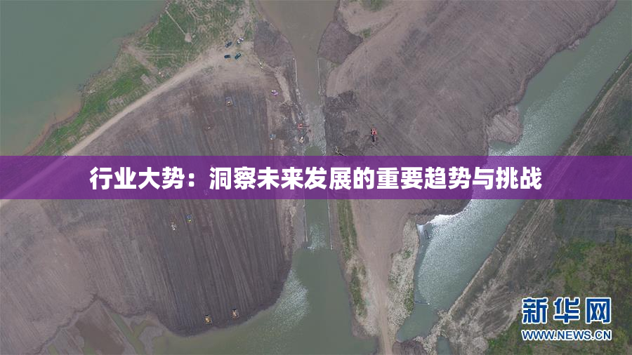 行业大势：洞察未来发展的重要趋势与挑战