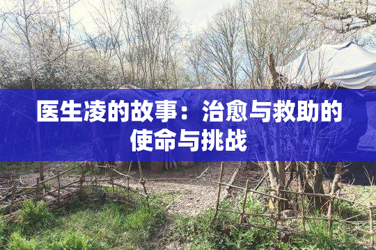 医生凌的故事：治愈与救助的使命与挑战