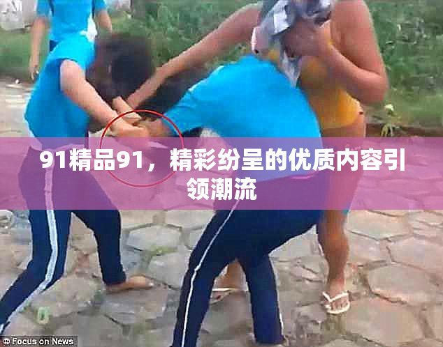 91精品91，精彩纷呈的优质内容引领潮流