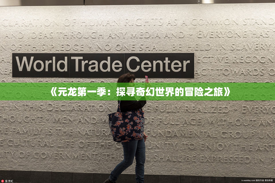《元龙第一季：探寻奇幻世界的冒险之旅》