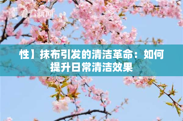 性】抹布引发的清洁革命：如何提升日常清洁效果