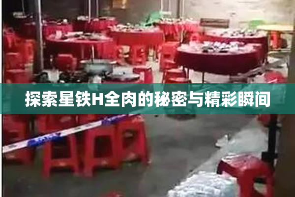 探索星铁H全肉的秘密与精彩瞬间