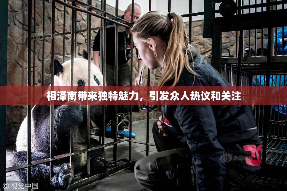 相泽南带来独特魅力，引发众人热议和关注