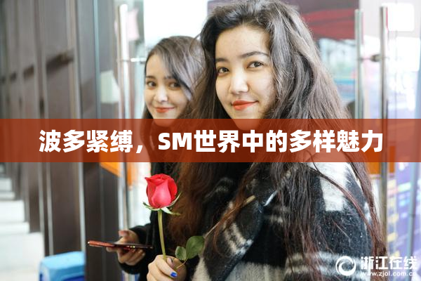波多紧缚，SM世界中的多样魅力
