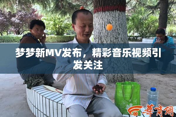 梦梦新MV发布，精彩音乐视频引发关注