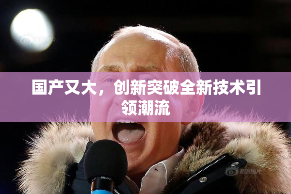 国产又大，创新突破全新技术引领潮流