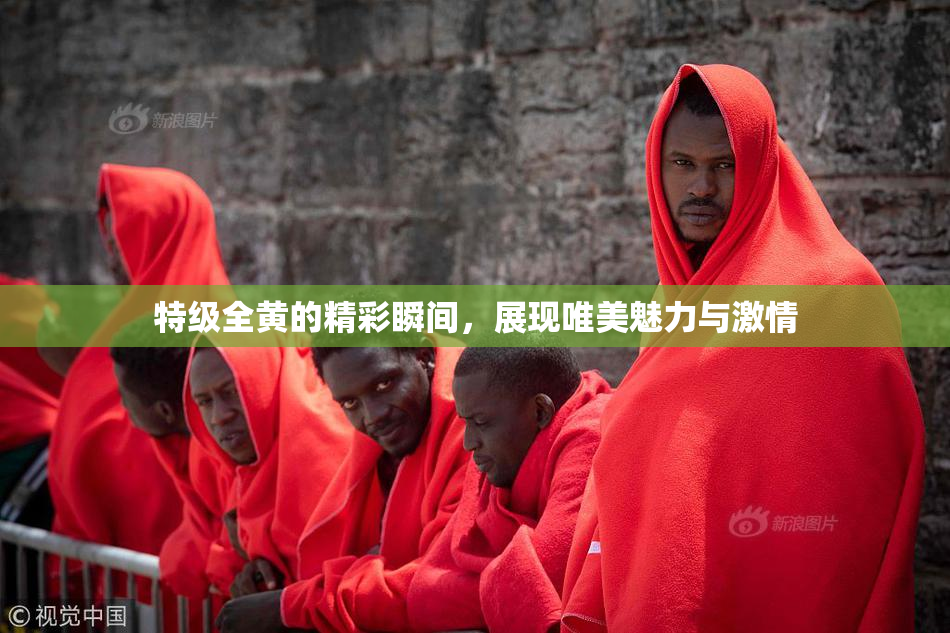 特级全黄的精彩瞬间，展现唯美魅力与激情