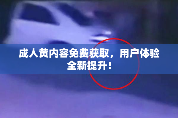 成人黄内容免费获取，用户体验全新提升！