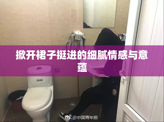 掀开裙子挺进的细腻情感与意蕴