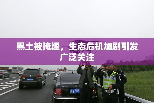 黑土被掩埋，生态危机加剧引发广泛关注