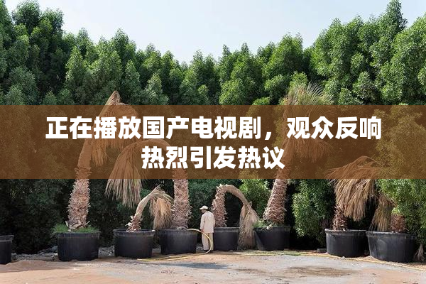 正在播放国产电视剧，观众反响热烈引发热议