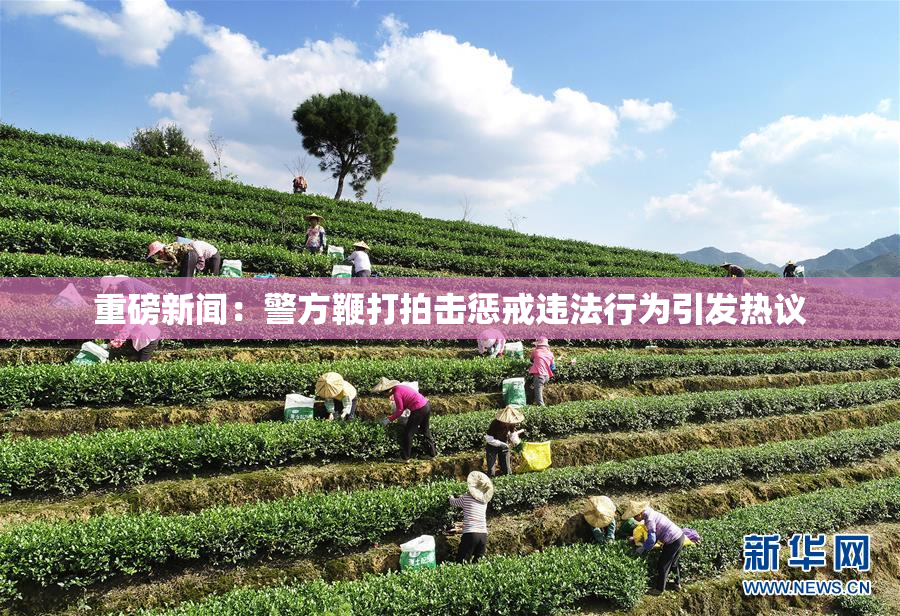 重磅新闻：警方鞭打拍击惩戒违法行为引发热议