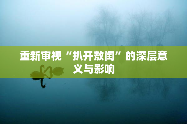 重新审视“扒开敖闰”的深层意义与影响