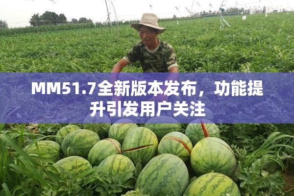 MM51.7全新版本发布，功能提升引发用户关注