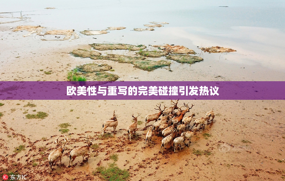 欧美性与重写的完美碰撞引发热议
