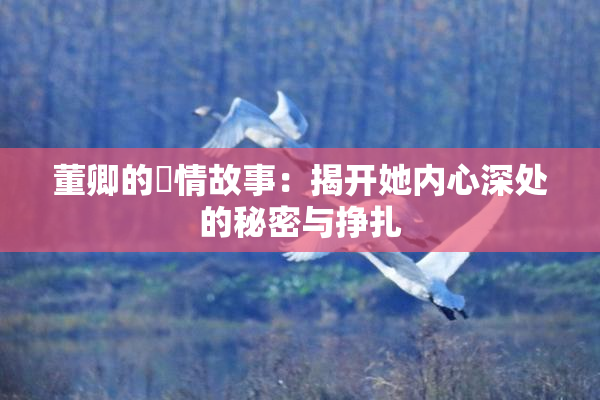 董卿的婬情故事：揭开她内心深处的秘密与挣扎