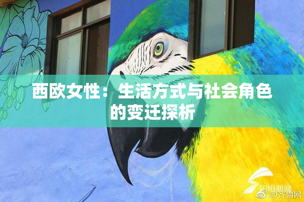 西欧女性：生活方式与社会角色的变迁探析