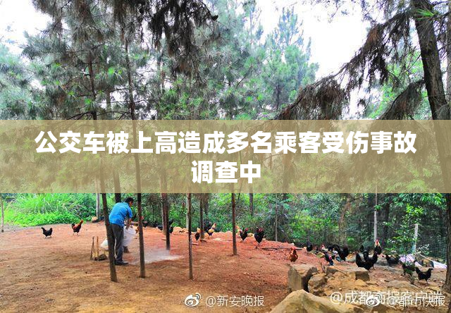公交车被上高造成多名乘客受伤事故调查中
