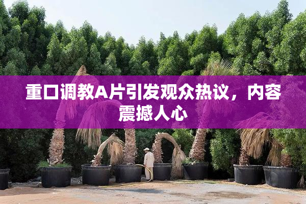 重口调教A片引发观众热议，内容震撼人心