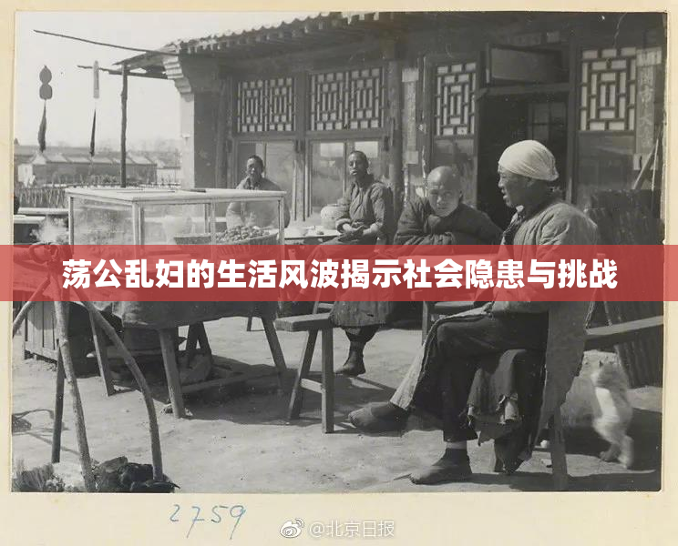 荡公乱妇的生活风波揭示社会隐患与挑战