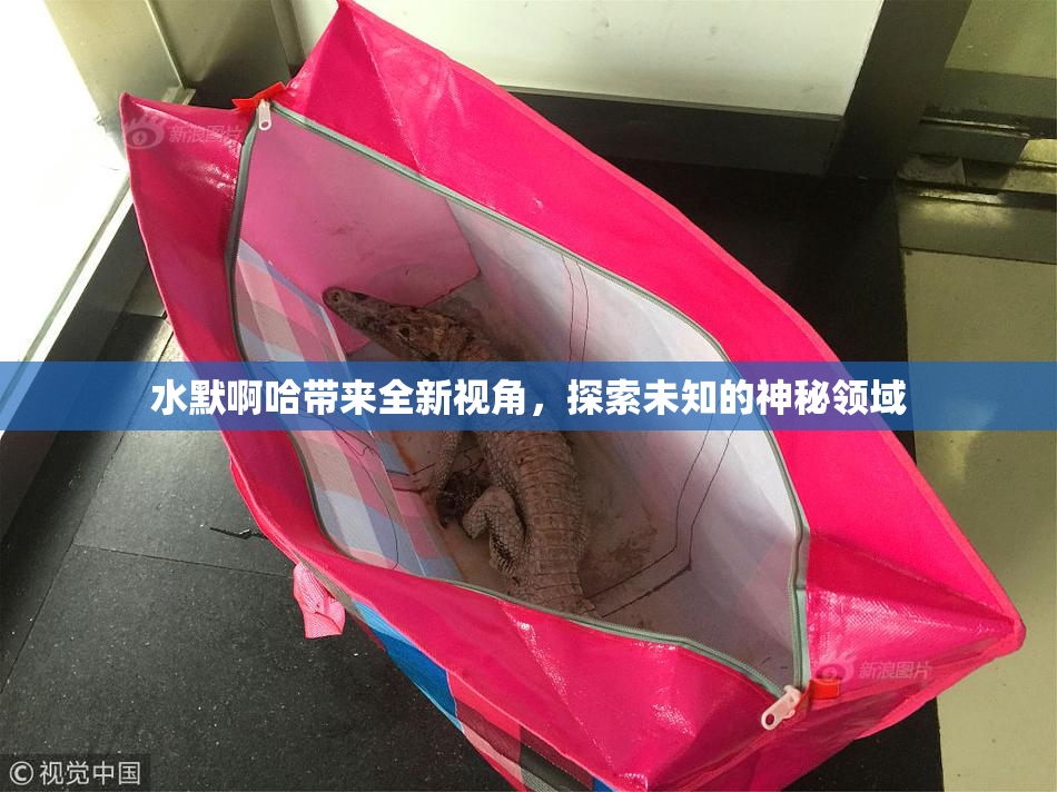 水默啊哈带来全新视角，探索未知的神秘领域