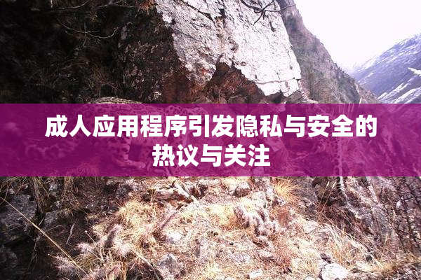 成人应用程序引发隐私与安全的热议与关注