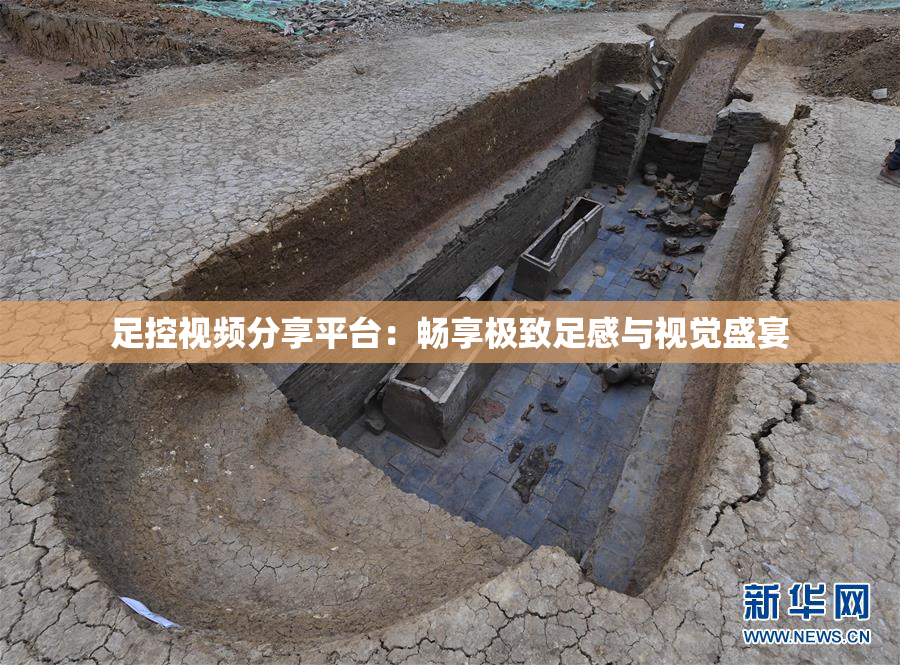 足控视频分享平台：畅享极致足感与视觉盛宴