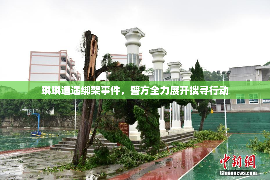 琪琪遭遇绑架事件，警方全力展开搜寻行动