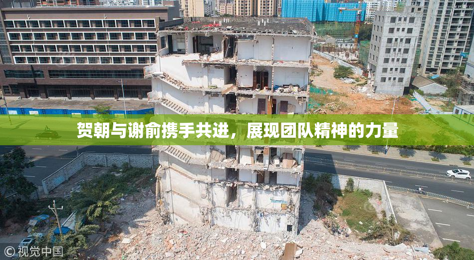贺朝与谢俞携手共进，展现团队精神的力量