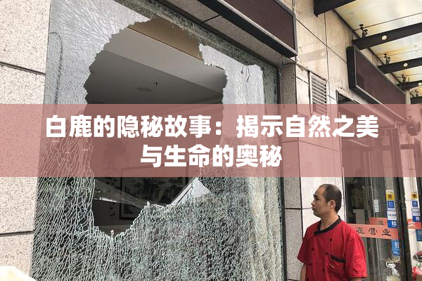 白鹿的隐秘故事：揭示自然之美与生命的奥秘