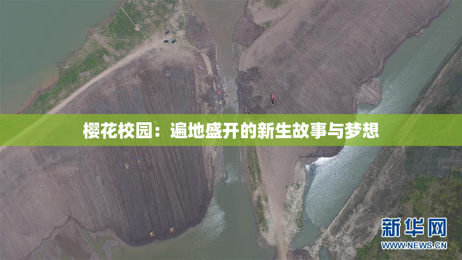 樱花校园：遍地盛开的新生故事与梦想
