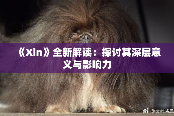 《Xin》全新解读：探讨其深层意义与影响力