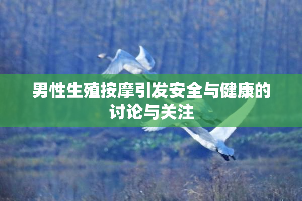 男性生殖按摩引发安全与健康的讨论与关注
