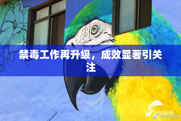 禁毒工作再升级，成效显著引关注