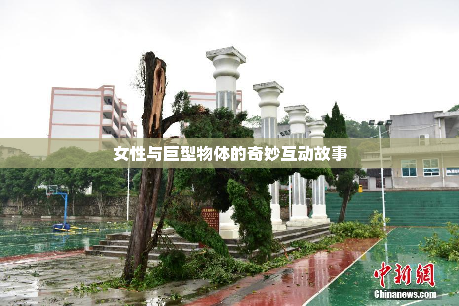 女性与巨型物体的奇妙互动故事