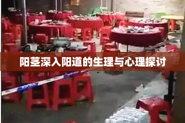 阳茎深入阳道的生理与心理探讨