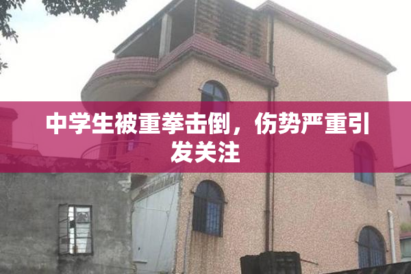 中学生被重拳击倒，伤势严重引发关注