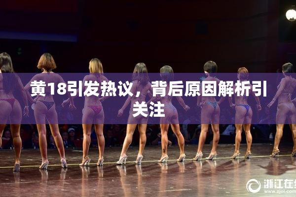 黄18引发热议，背后原因解析引关注