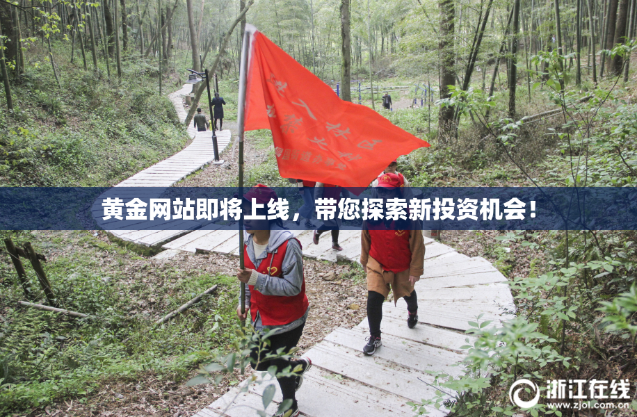 黄金网站即将上线，带您探索新投资机会！