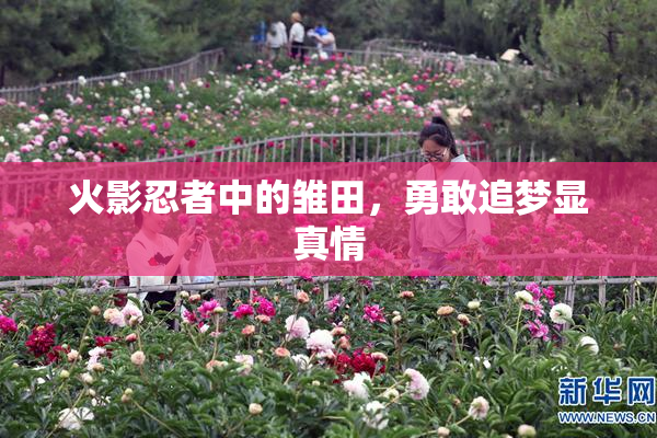 火影忍者中的雏田，勇敢追梦显真情
