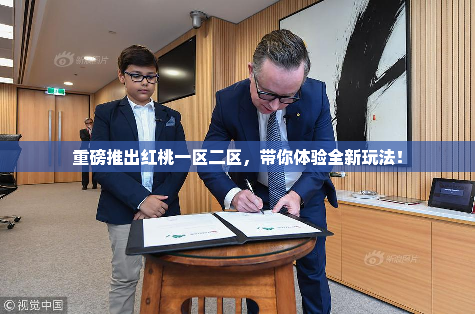 重磅推出红桃一区二区，带你体验全新玩法！