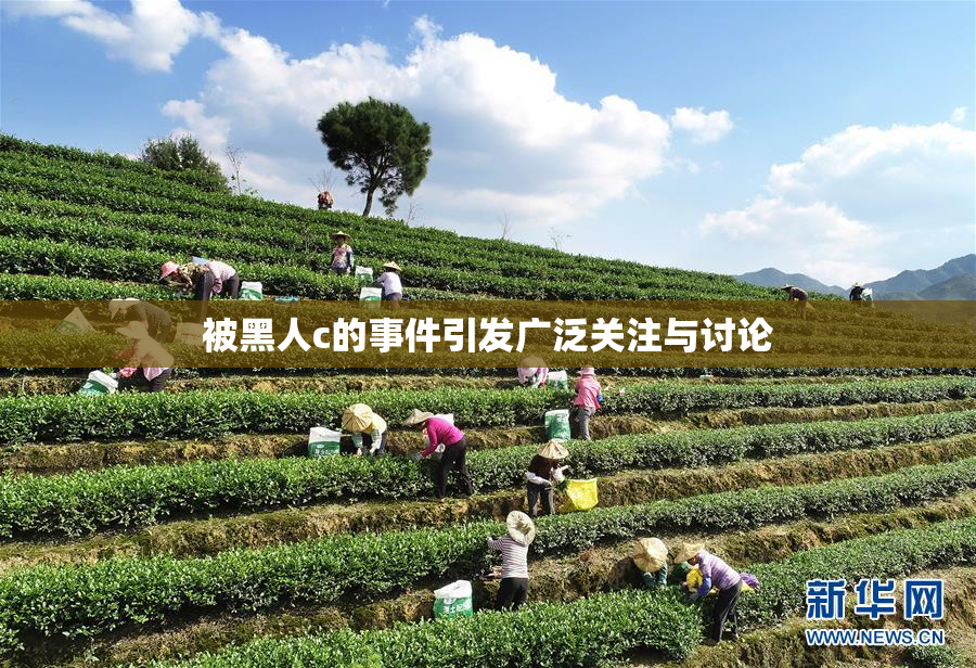 被黑人c的事件引发广泛关注与讨论