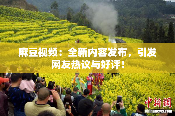 麻豆视频：全新内容发布，引发网友热议与好评！