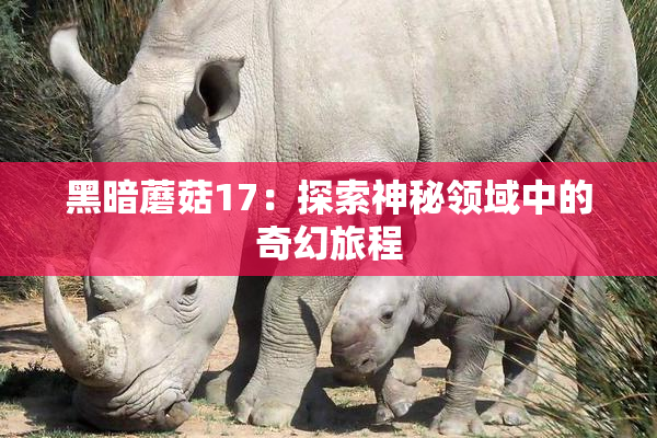 黑暗蘑菇17：探索神秘领域中的奇幻旅程