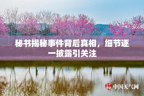 秘书揭秘事件背后真相，细节逐一披露引关注