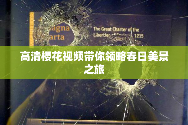 高清樱花视频带你领略春日美景之旅