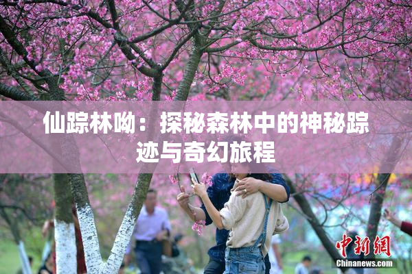仙踪林呦：探秘森林中的神秘踪迹与奇幻旅程