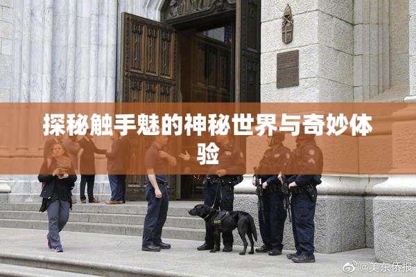 探秘触手魅的神秘世界与奇妙体验